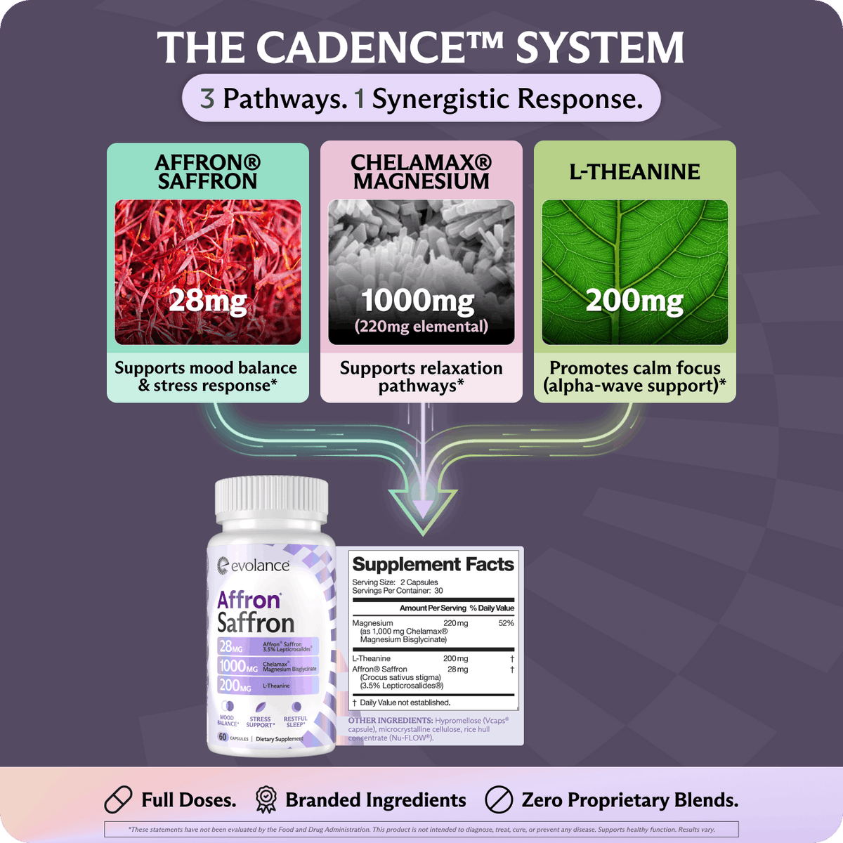 Wired but Tired? Your Nervous System Needs a Reset.