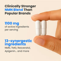 Evolance NMN Plus — Synergistic NAD+ Support for Daily Wellness