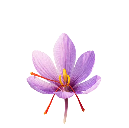 Affron saffron